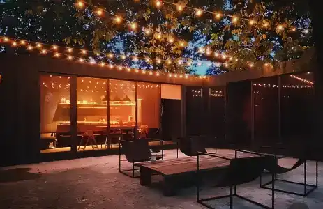 Vineyard - 9