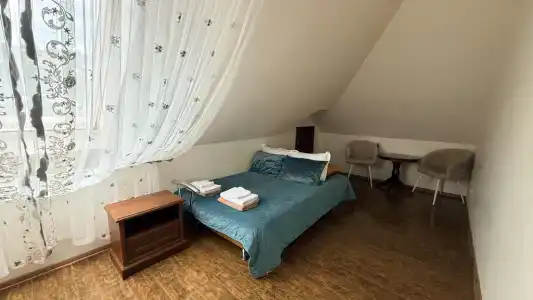 Сильвер - 14