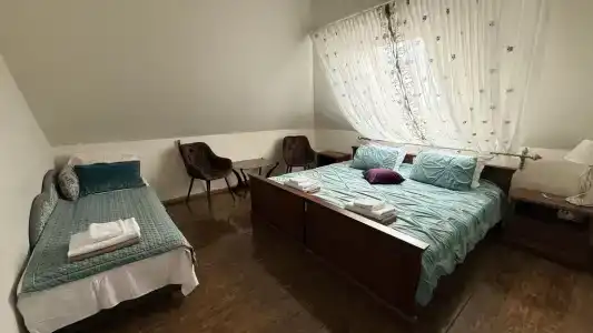 Сильвер - 15