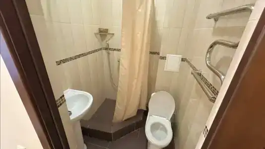 Сильвер - 36