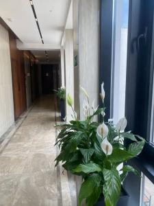 Апарт-отель Монтевиль by Adamand Resort - 181