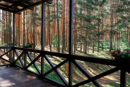 Борвиха - 38