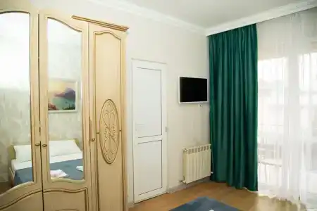 Алиса - 28