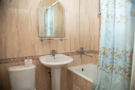 Алиса - 41