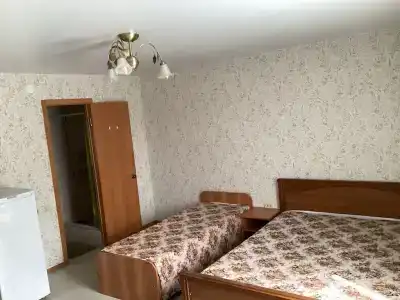 Элион - 7
