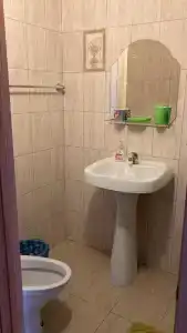 Элион - 10