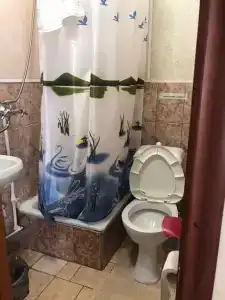 у Палыча - 6