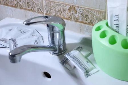 Rosa Home - 74