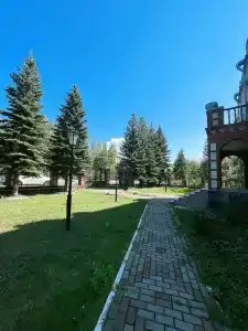 Волга Вита - 38
