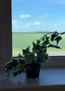 Гостевой дом на Ладном 12 - 24