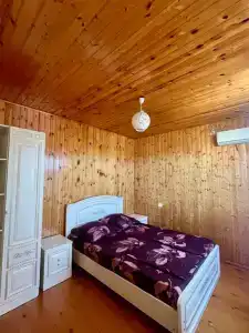 Дельфин - 14