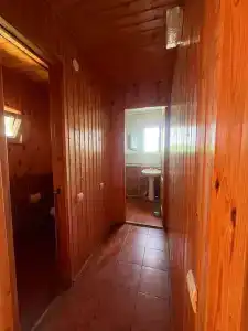 Дельфин - 15