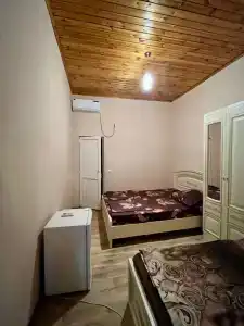 Дельфин - 17