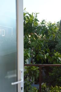 Guest House Paradise - 33