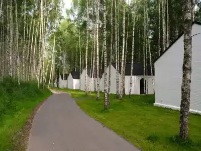 Поле - 167