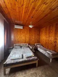 София - 21