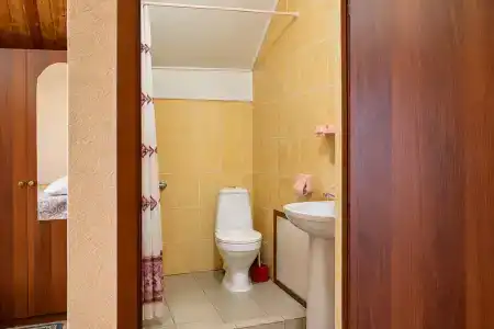 Фиалка - 18