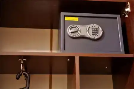 Фаворит - 31