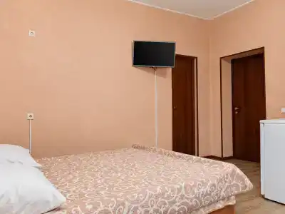Фиалка - 44