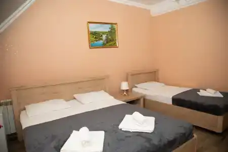 Алиса - 100