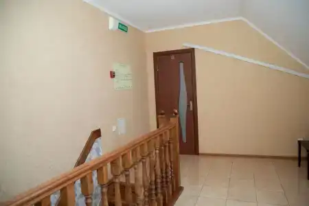 Алиса - 115