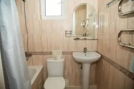 Алиса - 124