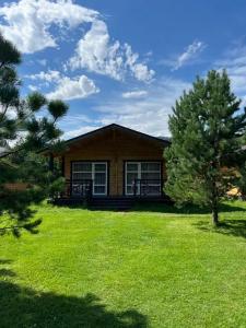 BraunHouse - 29