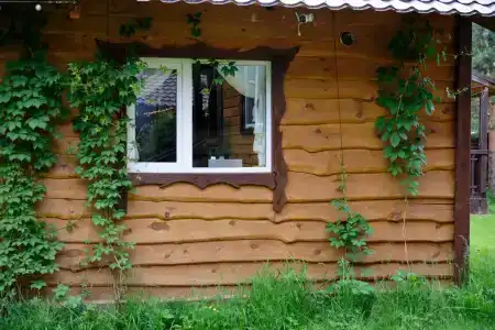 BraunHouse - 63