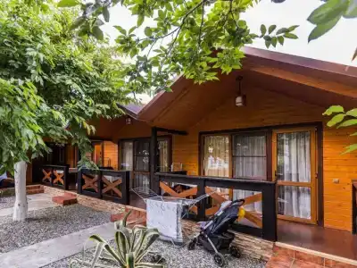 Mini Green House - 18