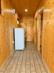 Фиеста - 46