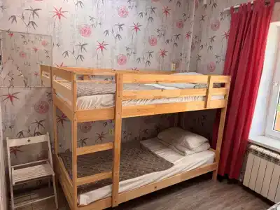Свои - 31