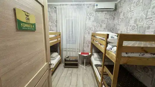 Свои - 53