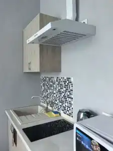 Сокол - 31