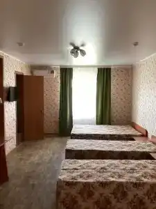 Элион - 11