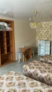 Элион - 13