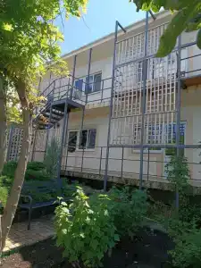 Джой - 9
