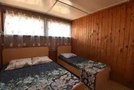 Дружба - 59