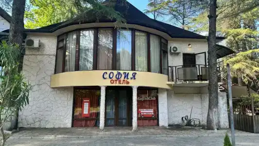 София - 13