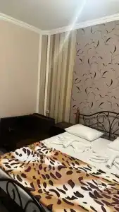 София - 9
