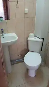 Семья - 12