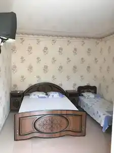 Фиссалия - 18