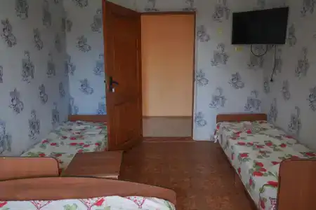 Фиссалия - 20