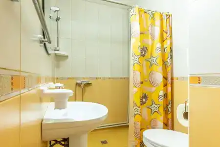 Адениум 585 - 17