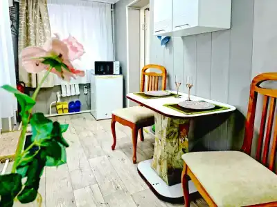 Серебряный Источник - 25