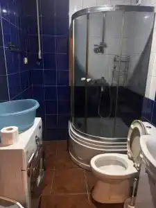 Ангелина - 12