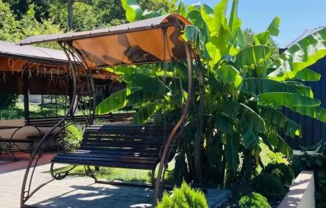 Амина - 74