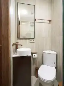 Дюма - 10