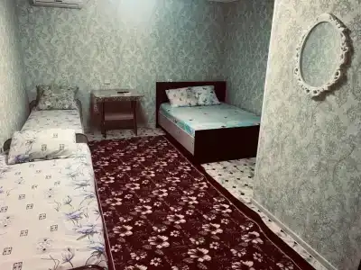 Адина - 12