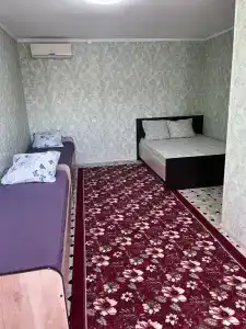 Адина - 14