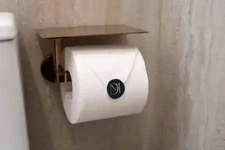 Дюма - 100